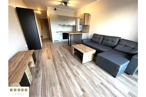 śląskie, Katowice, Bryn&oacute;w, Ceglana, Katowice Bryn&oacute;w Ceglana⭐️duża  kawalerka z 2023 roku +balkon / parking