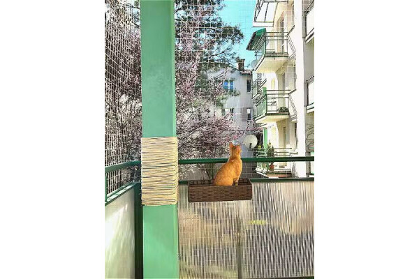 Krak&oacute;w, Złocień, Złocieniowa, Bieżan&oacute;w Złocień 3 pok  ⭐66m2⭐garderoba⭐2 balkony