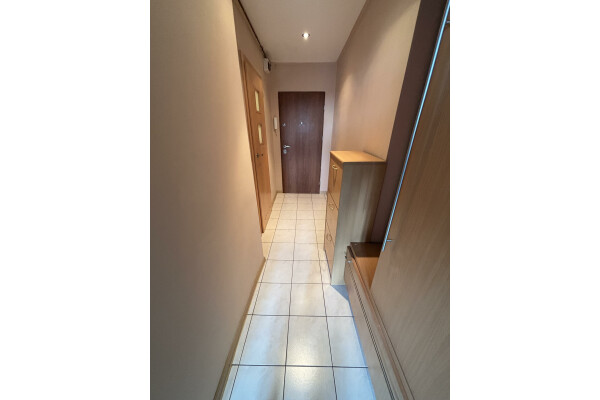 Piekary Śląskie, Centrum, Sokoł&oacute;w, Piekary Śląskie Centrum ul. Sokoł&oacute;w ⭐38 m2 // 2 pokoje !