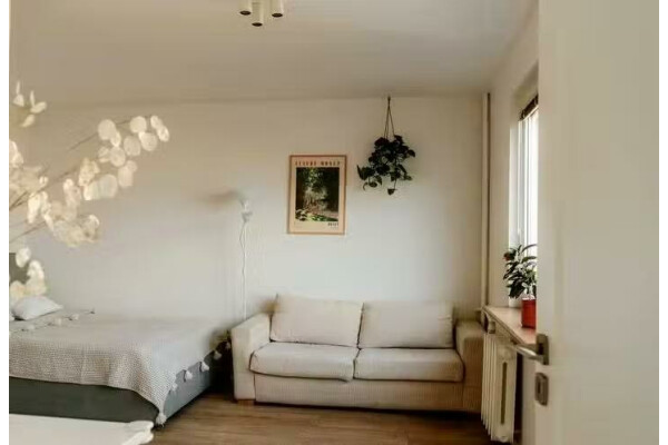 mazowieckie, Warszawa, Praga-Południe, Salamandry, Praga-Południe Gocław / ul. Salamandry⭐33,4m2 /  Ochrona DO WEJŚCIA