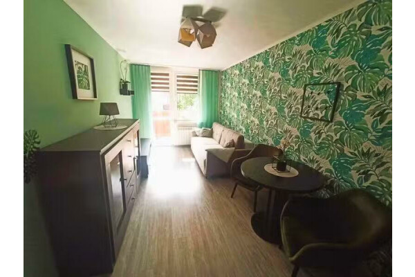 śląskie, Zabrze, Centrum, Pawła Ślęczka, Zabrze  Centrum ul. Ślęczka⭐ 44,2 m2 // 2 pokoje + balkon + piwnica !