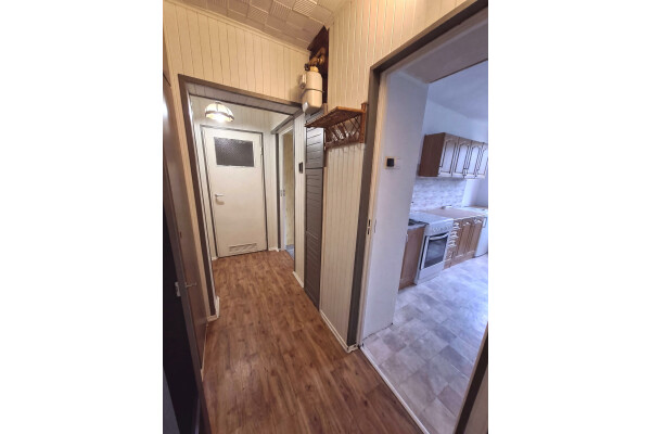 Sosnowiec, Sielec, Sielecka, Sosnowiec Sielec ul. Sielecka ⭐43m2 // 2 pok. + Balkon / Park Sielecki