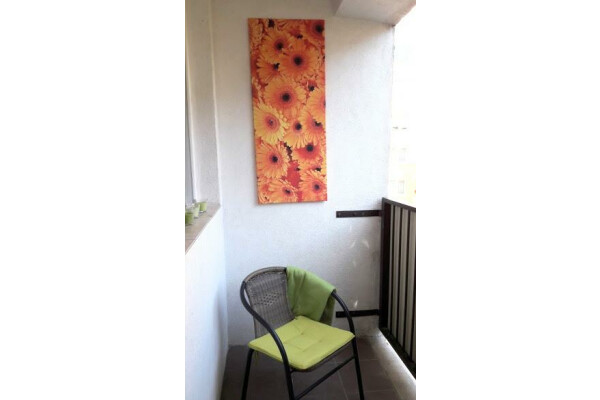 Warszawa, Ursus, Tomcia Palucha, Ursus Skorosze ul. Tomcia Palucha ⭐2 pok + balkon Do zamieszkania SKM