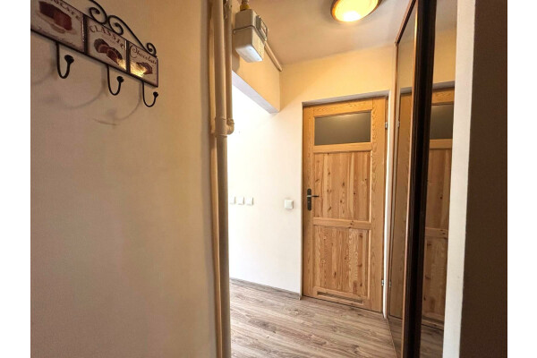 Katowice, Bryn&oacute;w, Piękna, Katowice Centrum / Bryn&oacute;w  Piękna⭐ 2 pok+balkon / obok Park Kościuszki