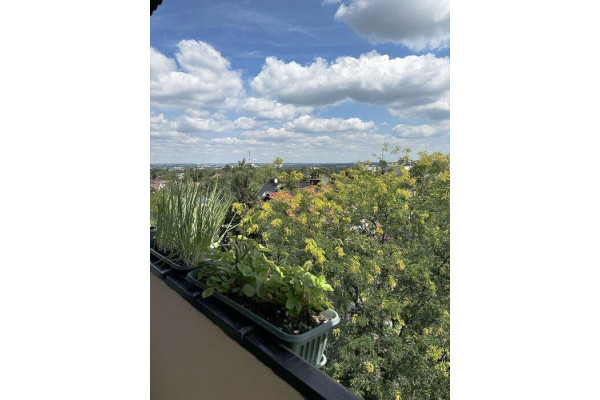 Kraków, Podgórze, Wola Duchacka, Czarnogórska, Kraków Wola Duchacka ⭐️Czarnogórska - 3pok+ Balkon